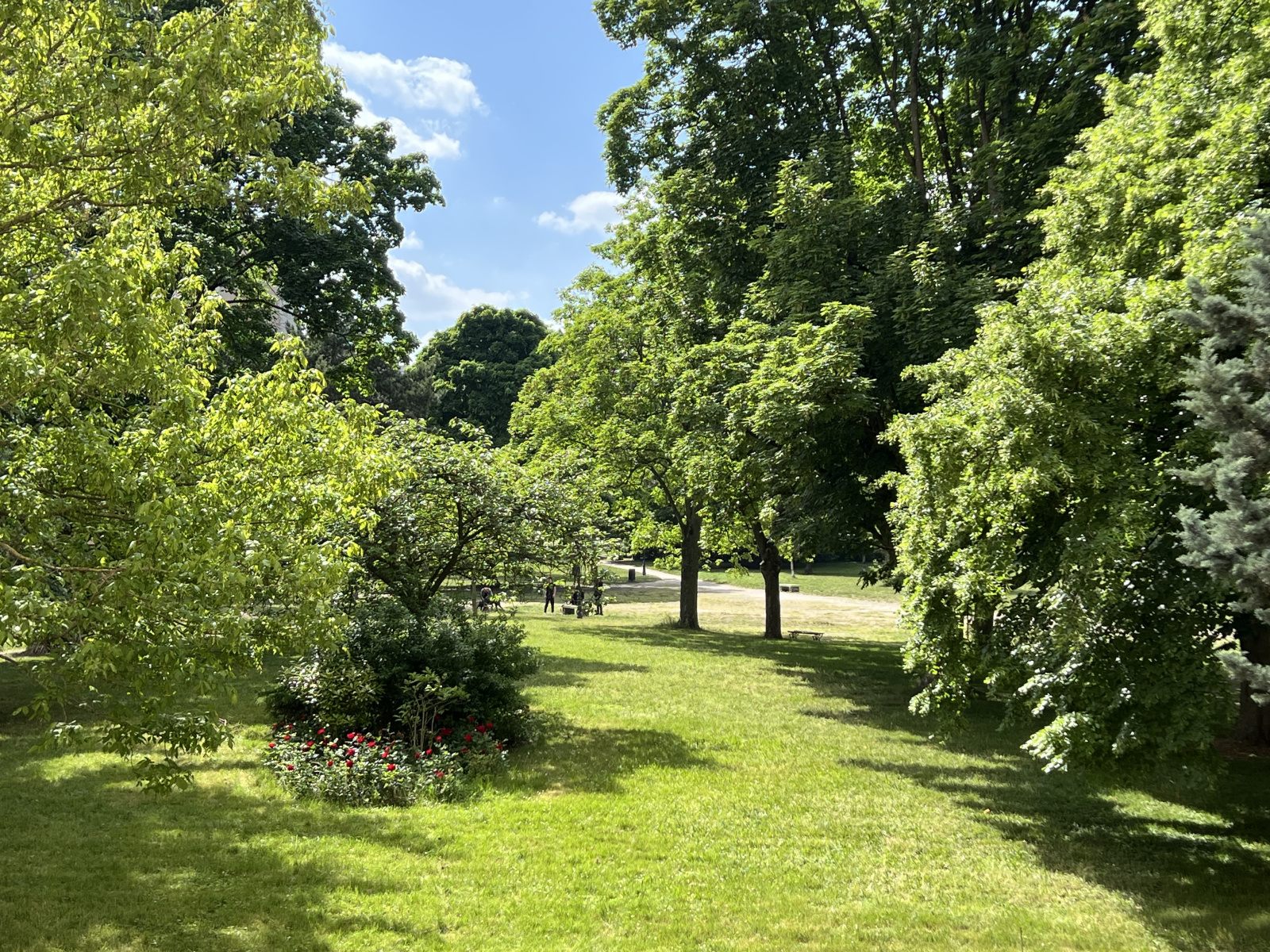 Image_1, Appartement, Maisons-Alfort, ref :563