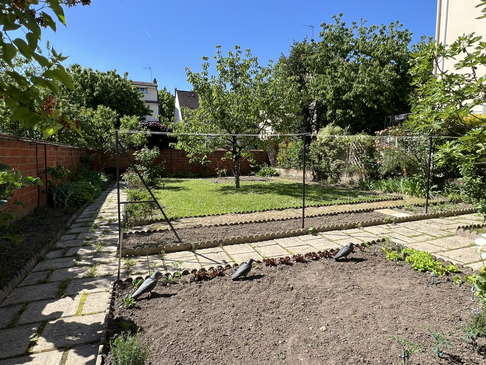 Image_9, Maison, Maisons-Alfort, ref :554